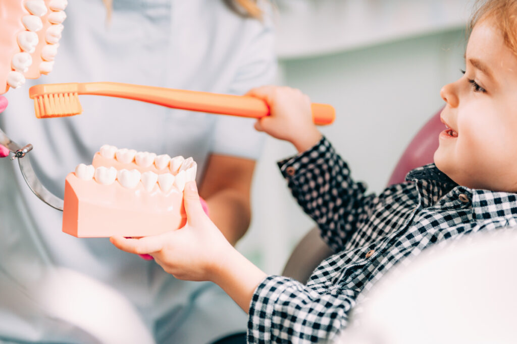 Myths About Dental Cavities: What Really Damages Your Teeth